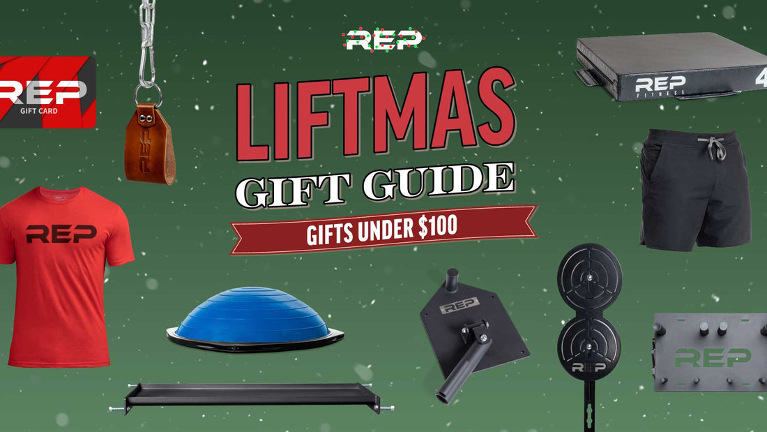 Holiday gifts under $100