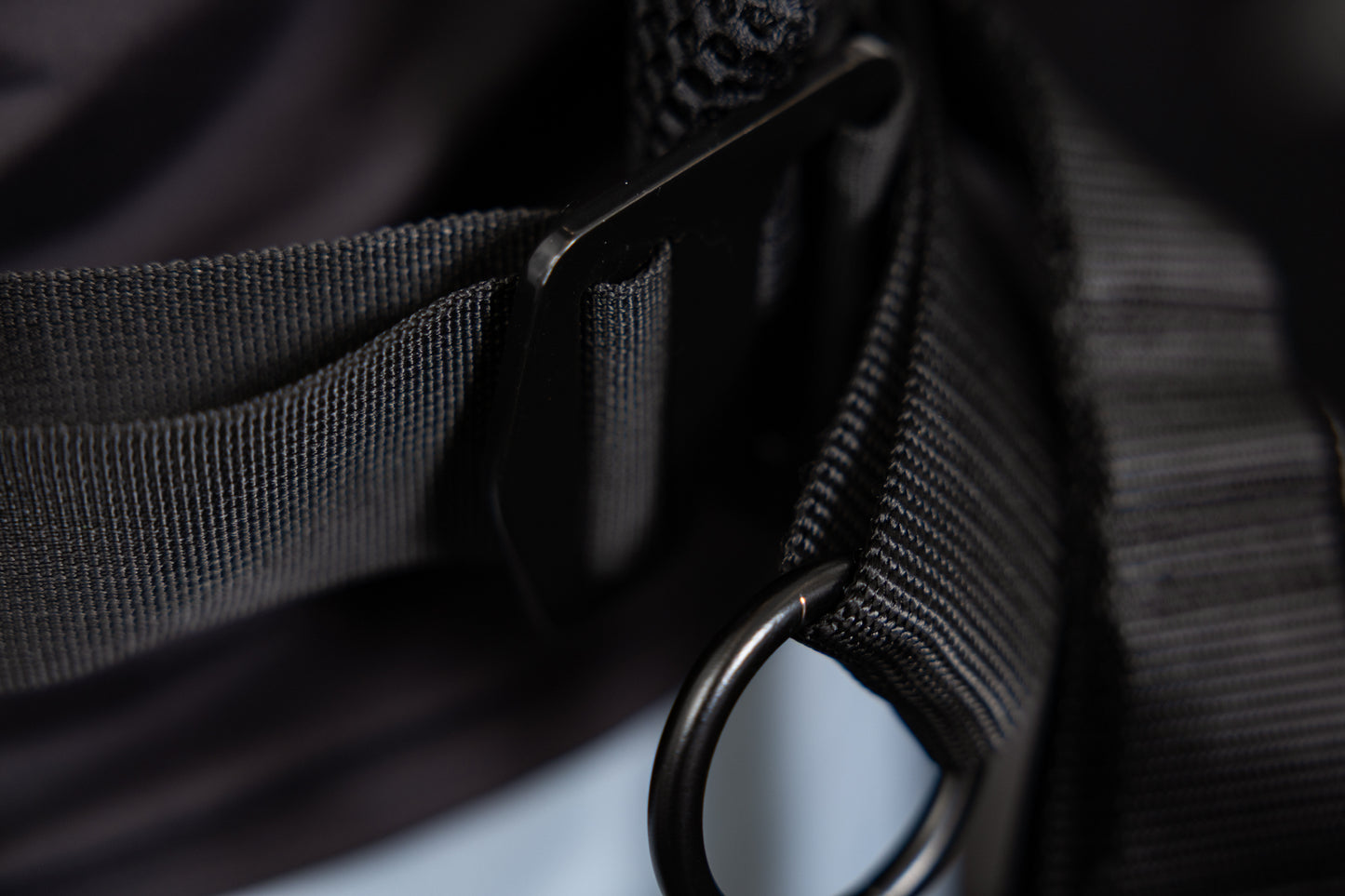 Close-up of the belt squat belt, g-hook mechanism, and o-ring
