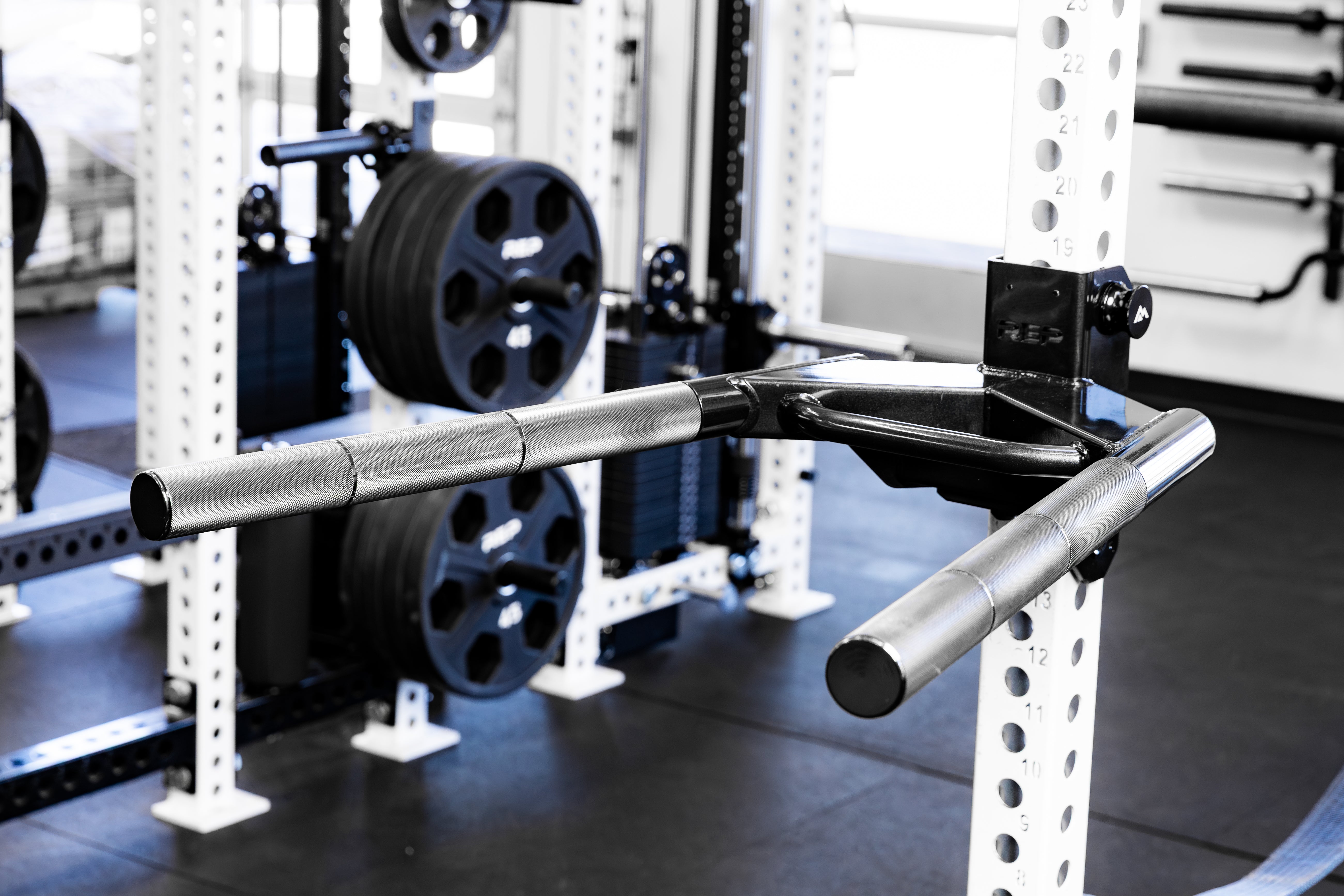 Dip Attachment 2.0 | REP Fitness