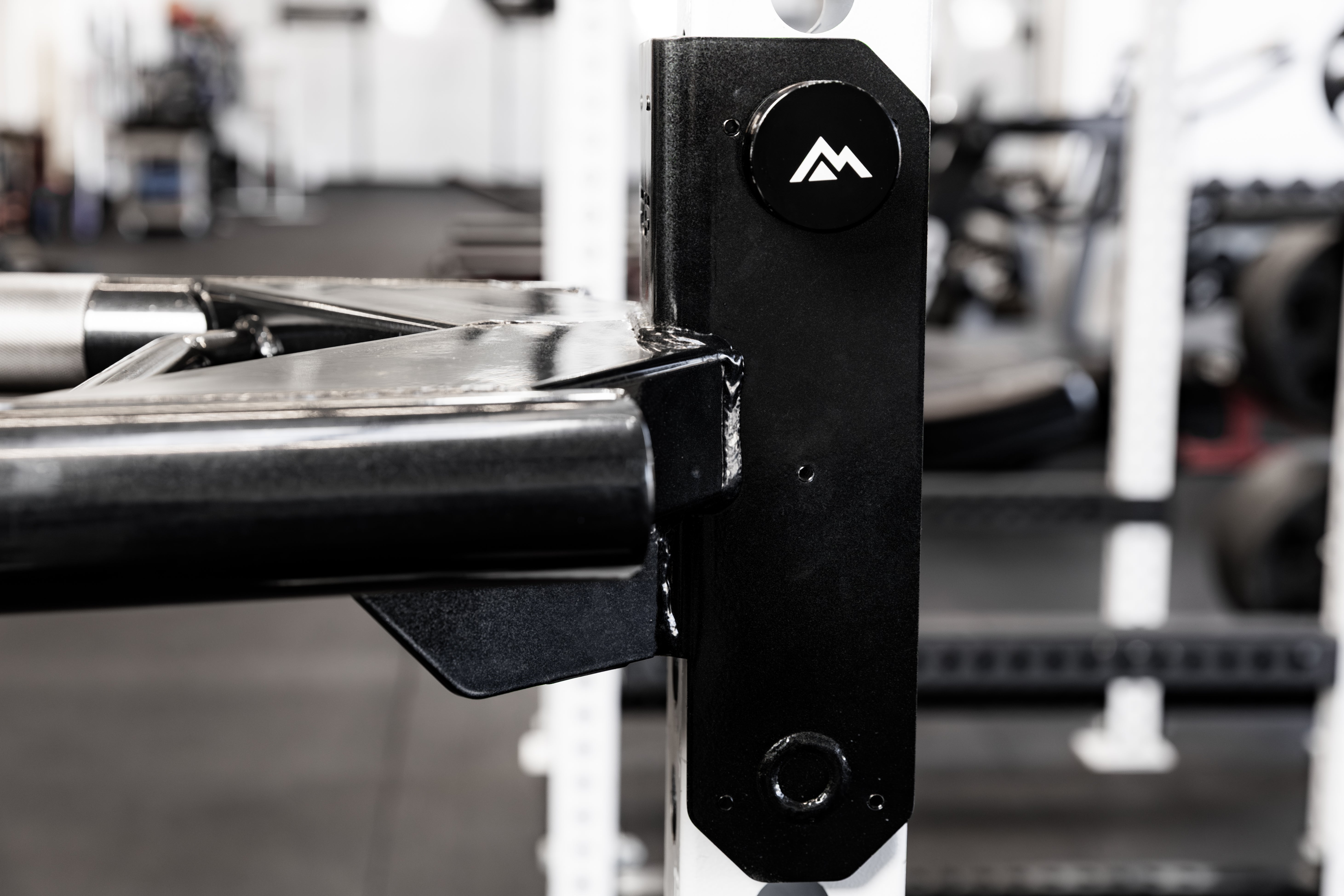 Dip Attachment 2.0 | REP Fitness