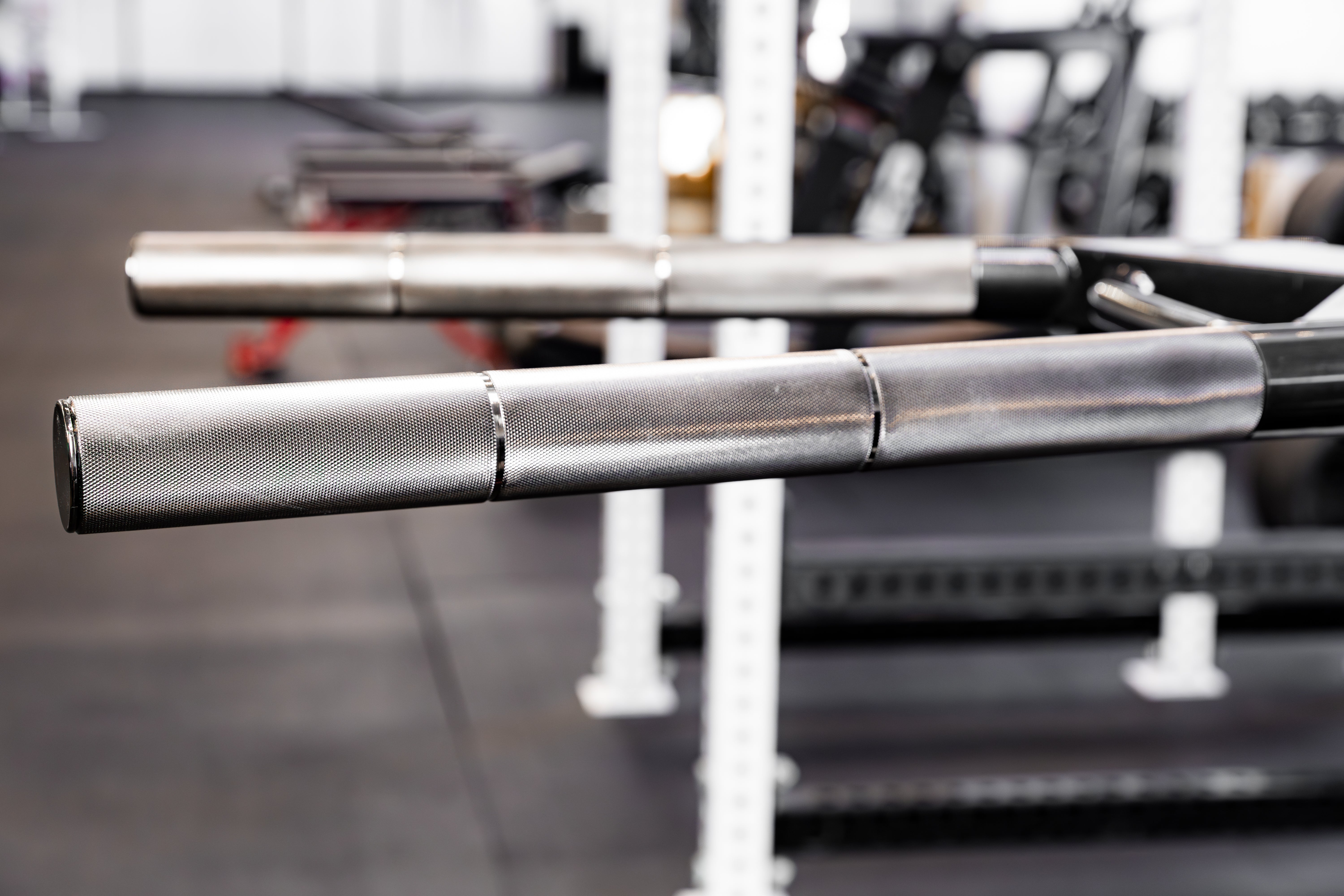 Dip Attachment 2.0 | REP Fitness