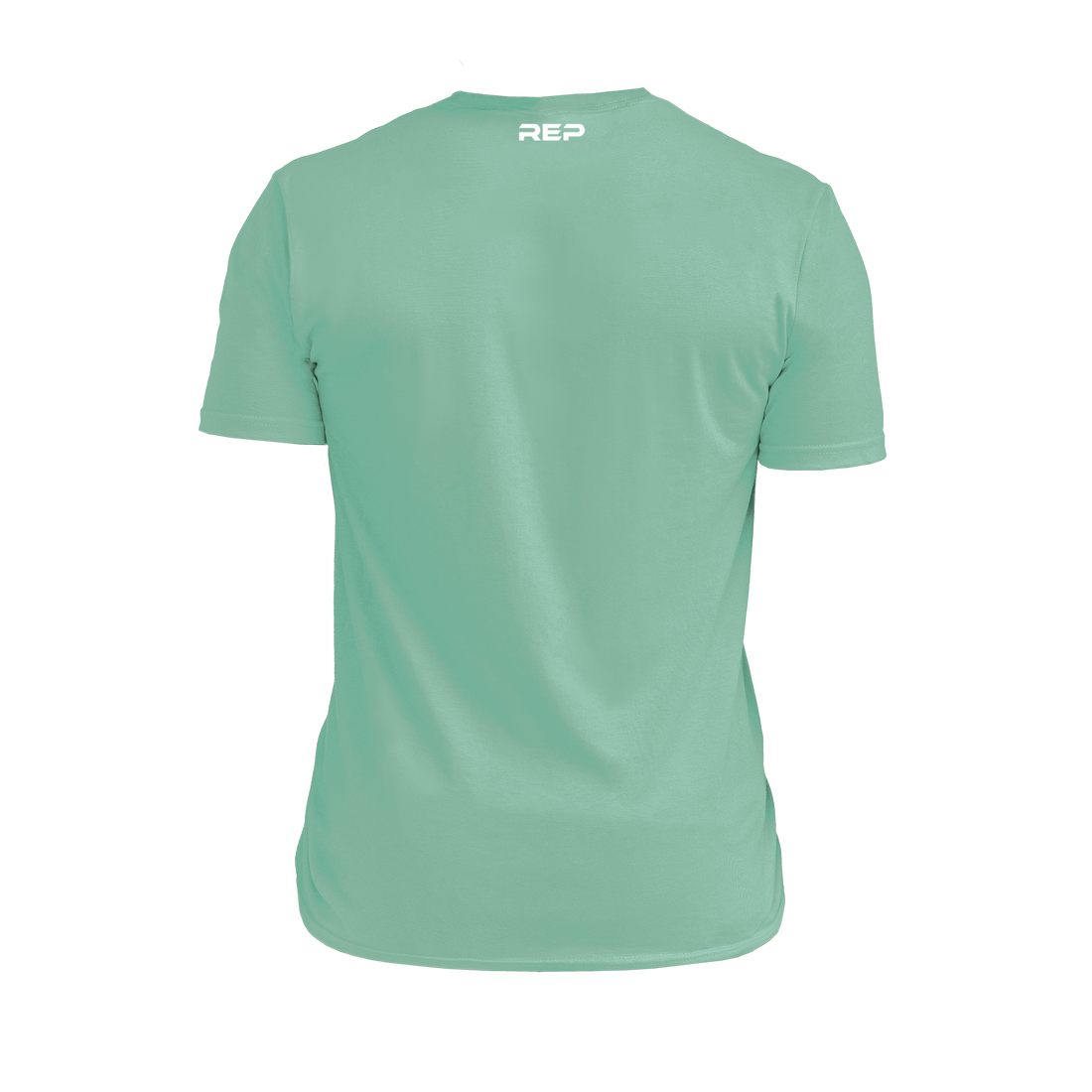 The REP Fitness Summit Tri-Blend Crew T-Shirt in Heather Sage/White back