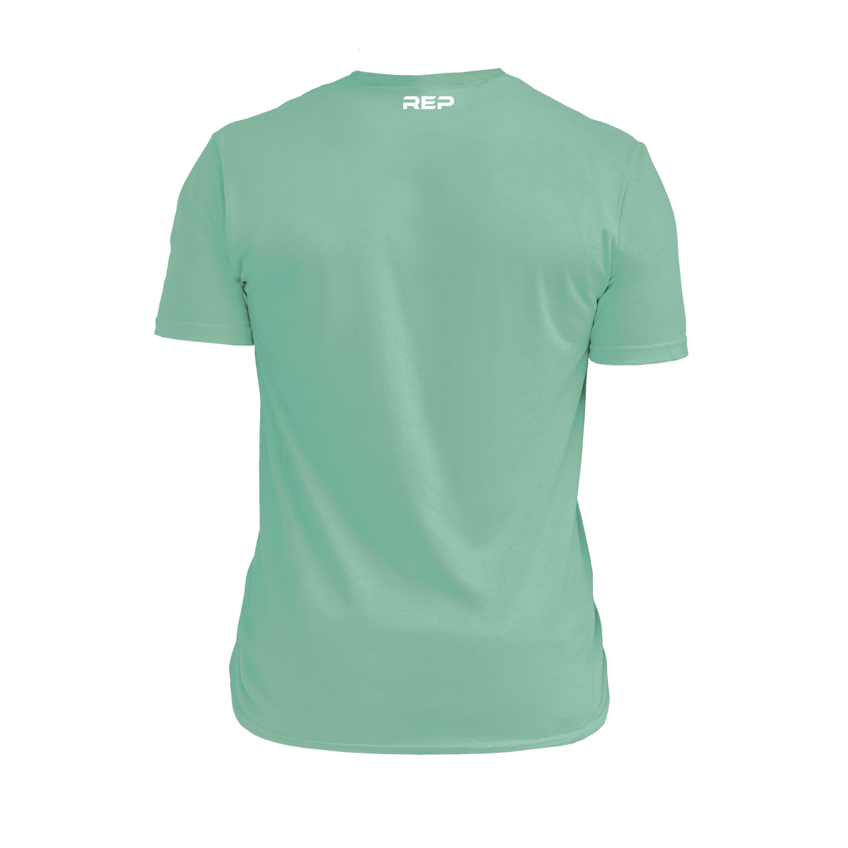 The REP Fitness Summit Tri-Blend Crew T-Shirt in Heather Sage/White back