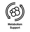 Icon of metabolic pathways with arrows and circles, labeled 'Metabolism Support'.