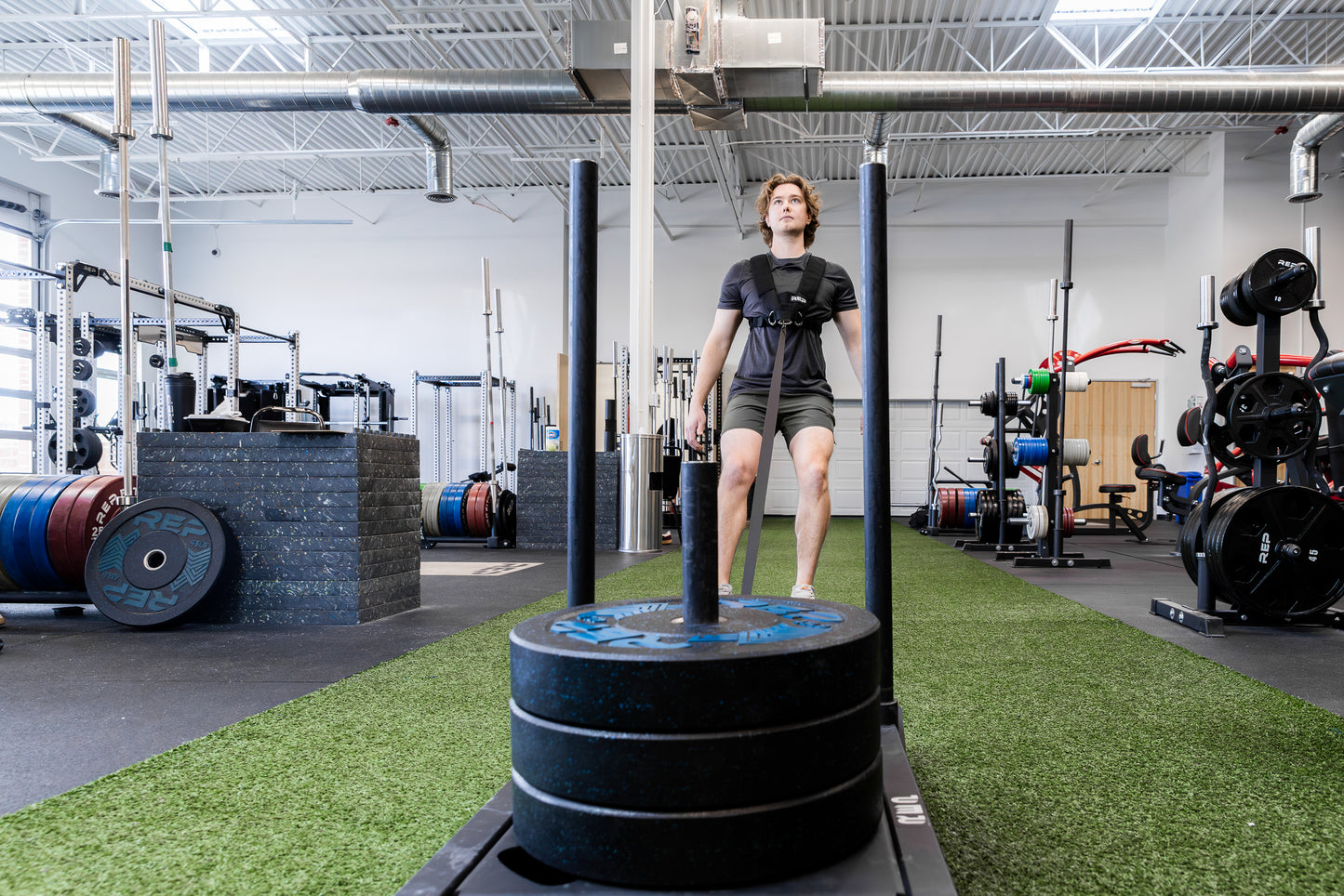 Person using Sled Harness to do a backwards pull with sled on turf in a gym setting.