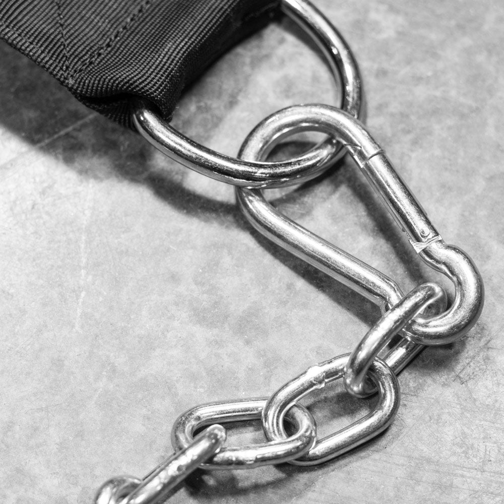 Chain and Carabiner Close Up