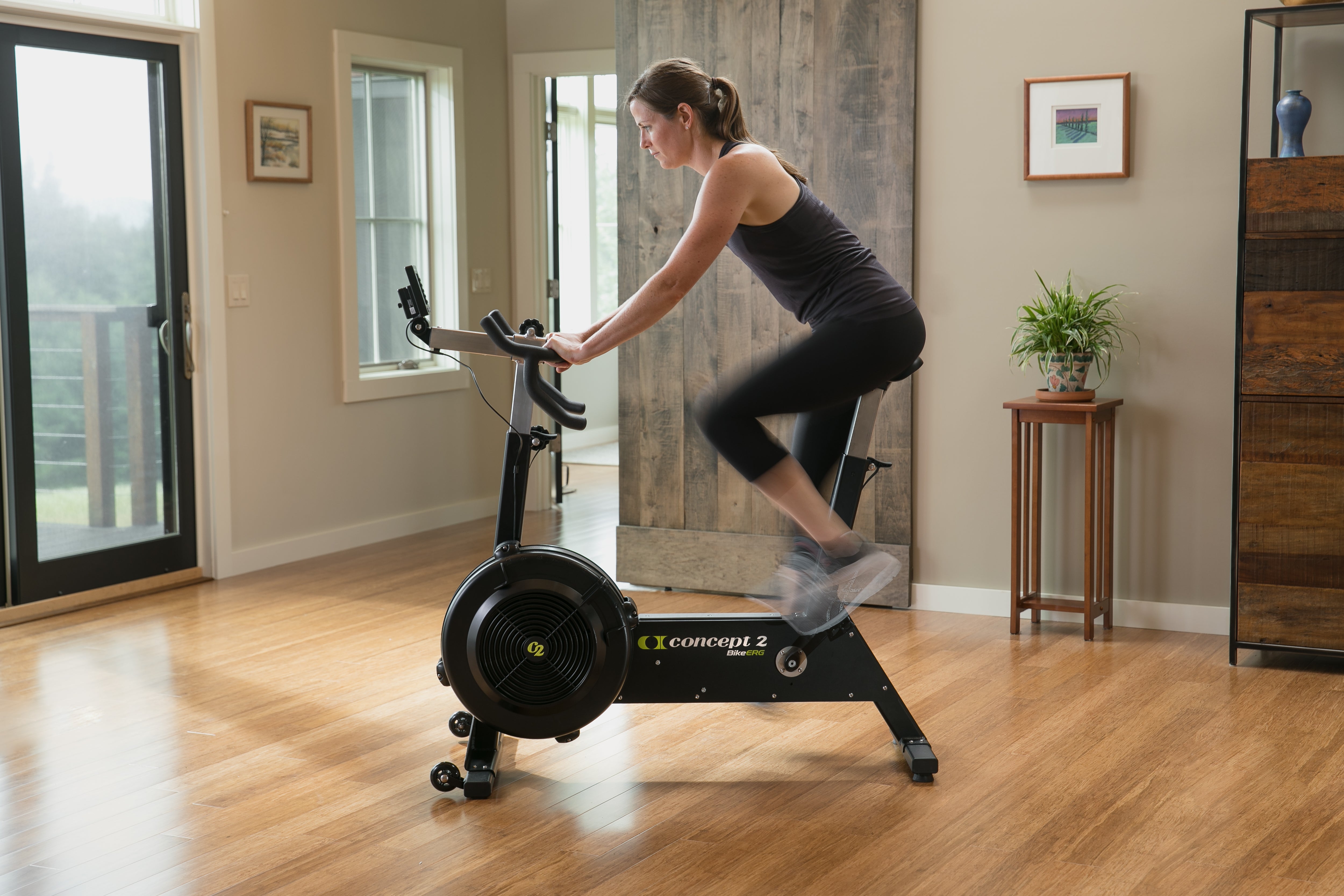 Concept2 Bike Erg In Home Gym
