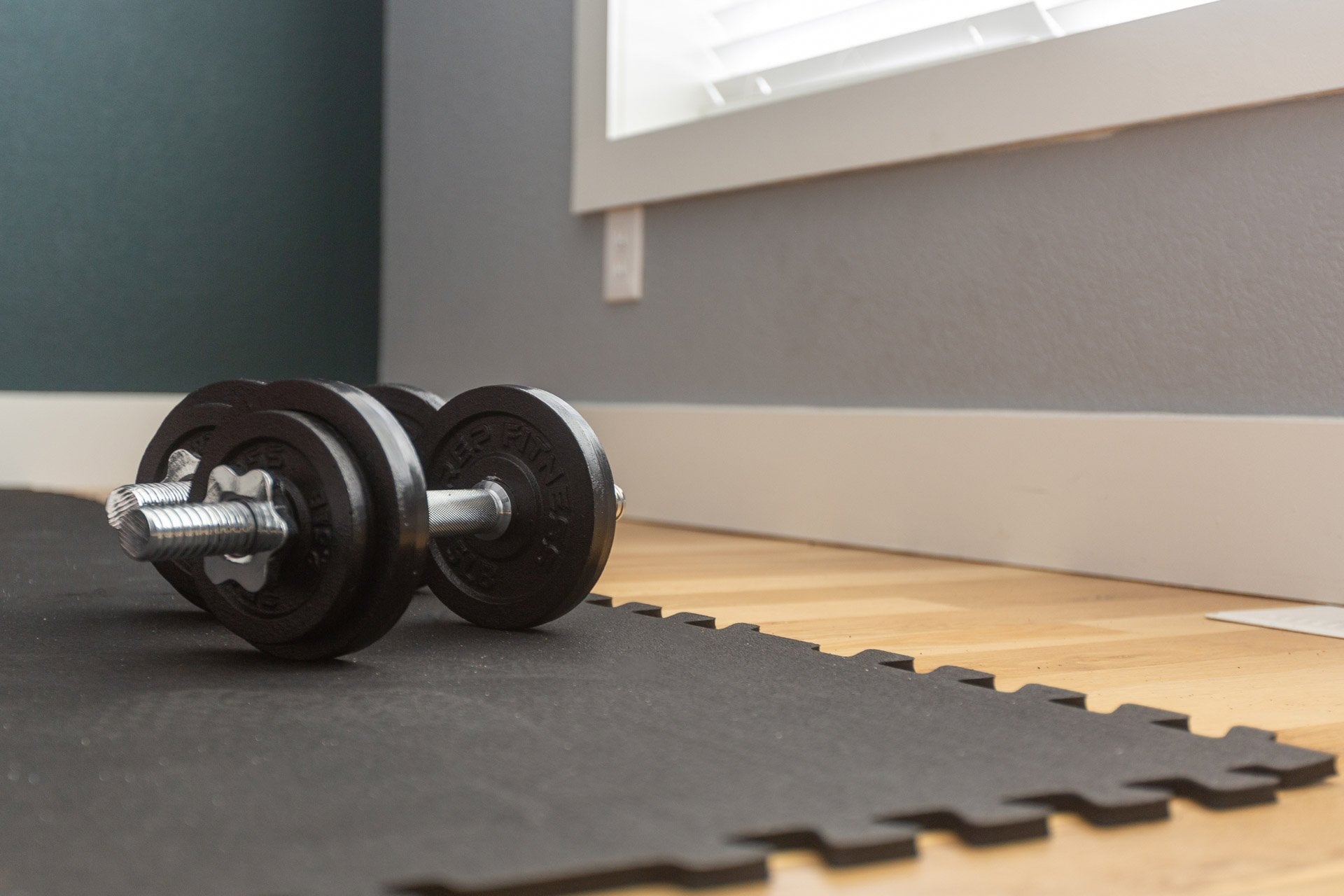 Side view of a pair of Adjustable Dumbbells loaded with 30lbs of weight.